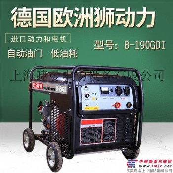 190A永磁汽油发电电焊机