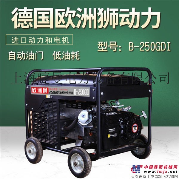 永磁汽油250A發電電焊兩用機