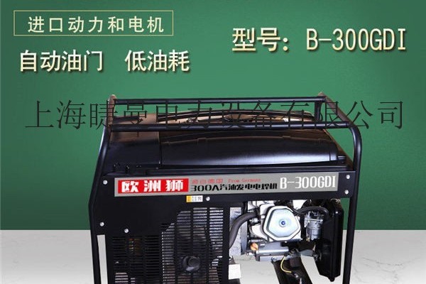 自带电源300A汽油发电电焊机