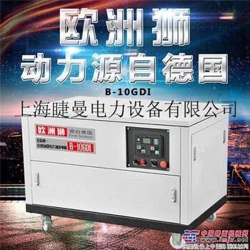 工程用10千瓦汽油发电机