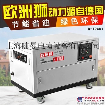 工程用10千瓦汽油发电机