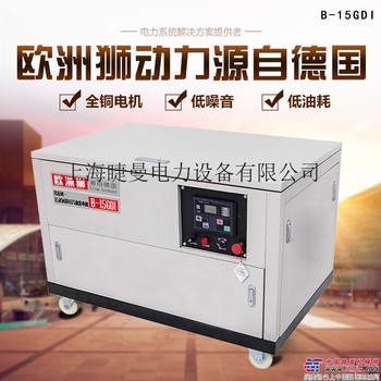 供应欧洲狮B-15GDI发电机(组)