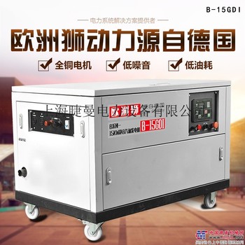 供应欧洲狮B-15GDI发电机(组)