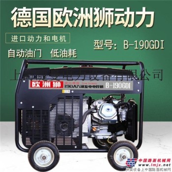 190a汽油发电电焊机氩弧焊机