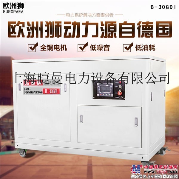 30kw高原用汽油发电机价格