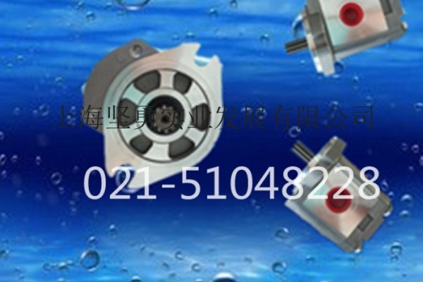 供應日立EX200-1/5挖掘機液壓泵配件/先導泵/齒輪泵