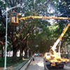 出租徐工高空作业车