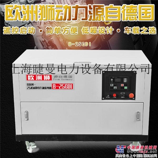 手術室備用25kw自啟動靜音汽油發電機