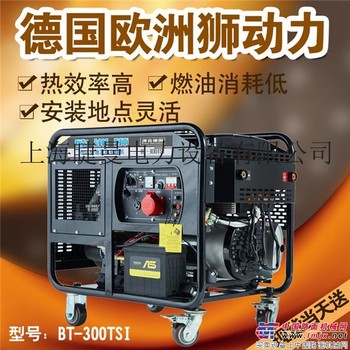 内燃式300A柴油发电电焊两用机