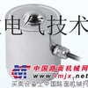 安徽智敏柱筒式称重ZTB传感器