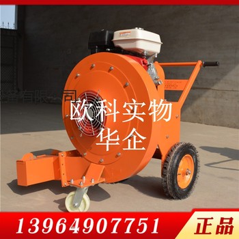 供应欧科200型扫雪机路面碎石吹风机园林绿化吹风机