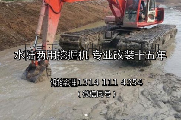 青岛水陆两用挖掘机，水挖机出售出租13141114354