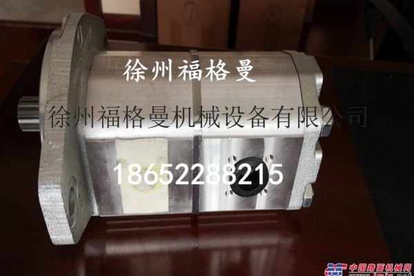 供應天津鼎盛DT890攤鋪機刮板雙聯泵 液壓泵馬達