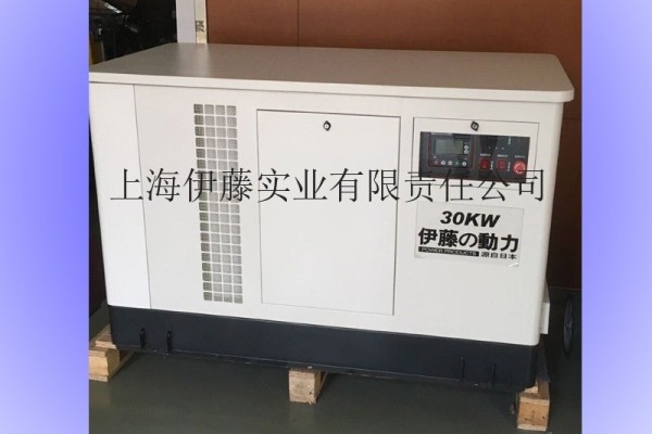 供應伊藤30KW汽油發電機進口功能參數(組)