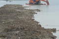 水上挖机出租，船挖机租赁，水陆两用挖机