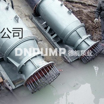 供应京津冀城市防汛建设雪橇泵生产厂家|德能泵业