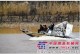 两栖空气动力艇在中国救援执法等领域崭露头角