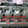 奔驰卡车OM603发动机机油泵