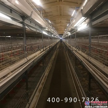 立体智能笼养鸭设备价格_山东大佳价格低质量好