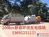 昌平区大型柴油发电机组出租 应急发电车租赁