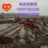 出租住友215水上挖机、福建福州水陆挖掘机租赁报价