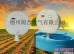 供应农田灌溉控制系统,农田灌溉控制系统厂家