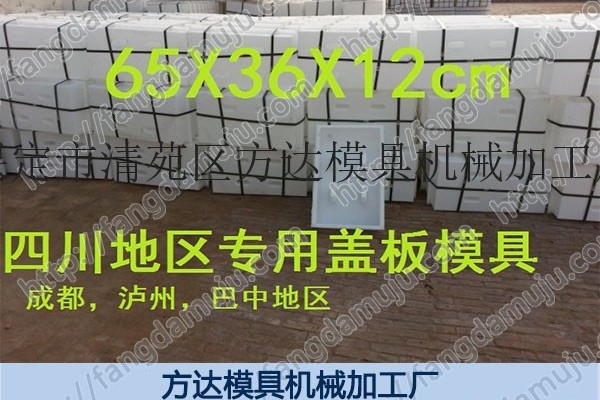 供應(yīng)隧道蓋板模具-隧道蓋板模具規(guī)格-河北方達(dá)模具供應(yīng)