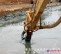 液压抽沙吸泥设备 挖掘机泥浆泵