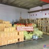 供应德东YS、YC、YL小功率单、三相电机上海德东电机长沙办