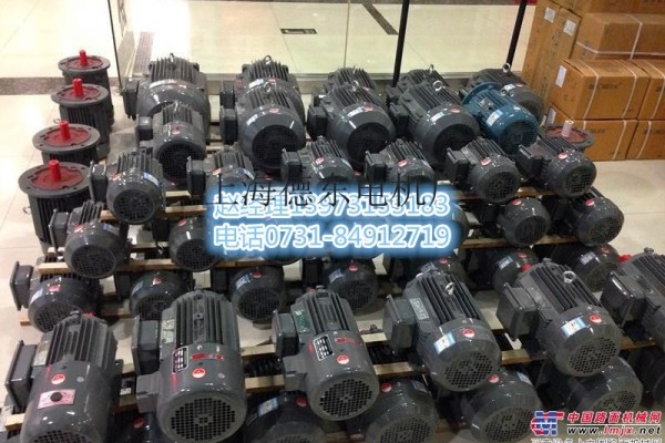 供應YEJ2大磁製動電機發動機品種齊全，權威平台，上海德東電機長沙辦