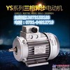 供应上海德东电机长沙办YS5624电机权威平台