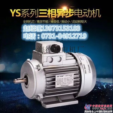 供应上海德东电机长沙办YS5624电机权威平台