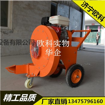 建筑施工清缝机风力灭火机手推式路面吹风机双出风口吹风机