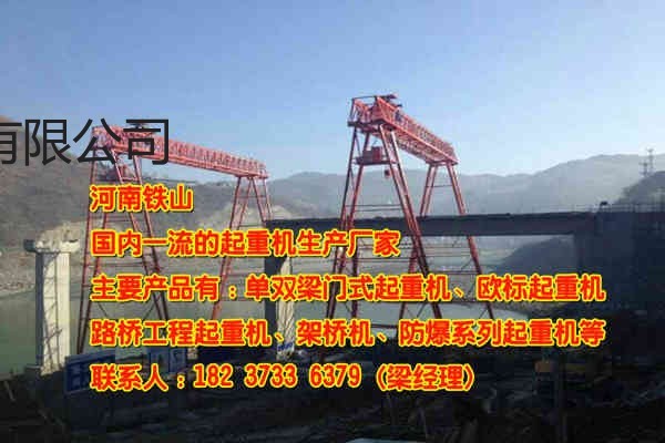 山东淄博龙门吊公司可满足顾客需求