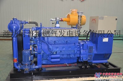 供应耐普特300kw发电机