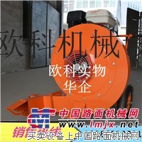 可調節馬路吹風機 大功率小型輕便吹灰機 馬路吹塵機吹棗機