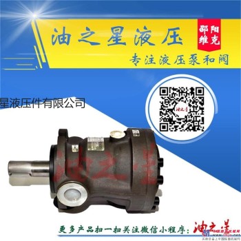 定量高压柱塞泵MCY14-1B