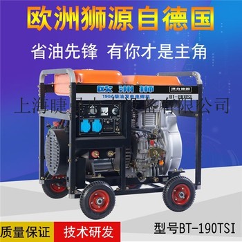 190A柴油发电式电焊两用机