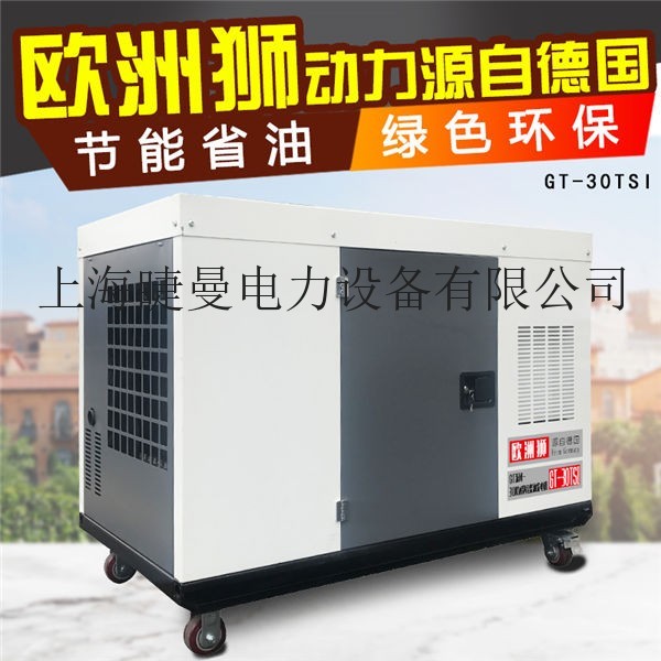 投標用水冷30kw柴油發電機