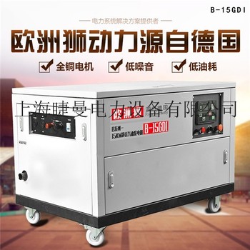 15kw应急用汽油发电机参数