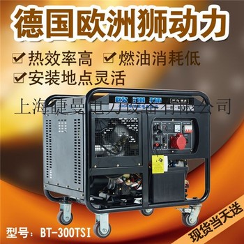 300a柴油发电电焊机参数