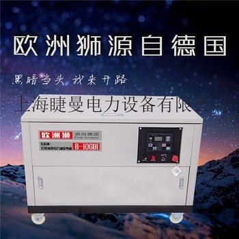 無刷家用10kw汽油發電機