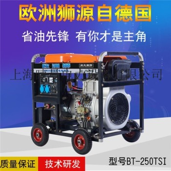 250A自发电电焊机工厂直销
