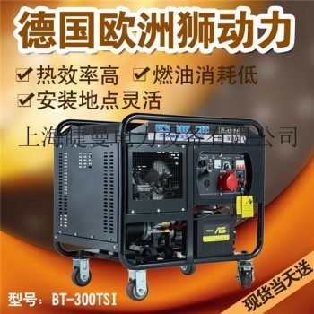 新疆300A柴油发电电焊机价格