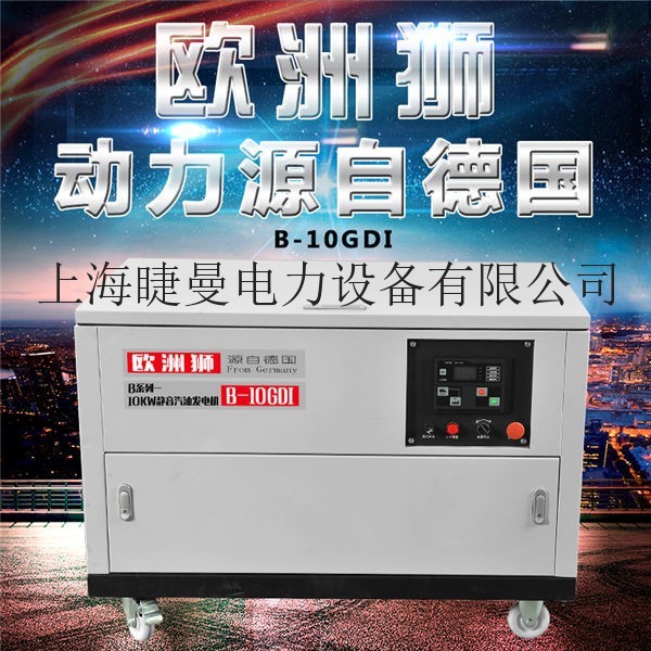 自备电站用10kw汽油发电机