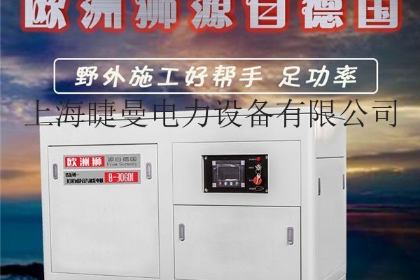 30kw汽油發電機源自德國