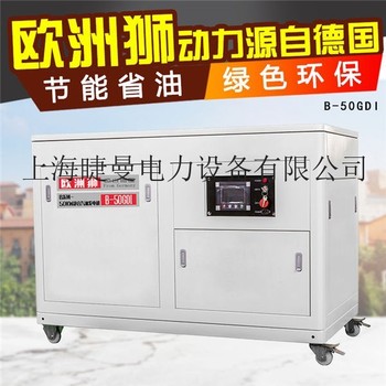 小型50kw靜音汽油發電機