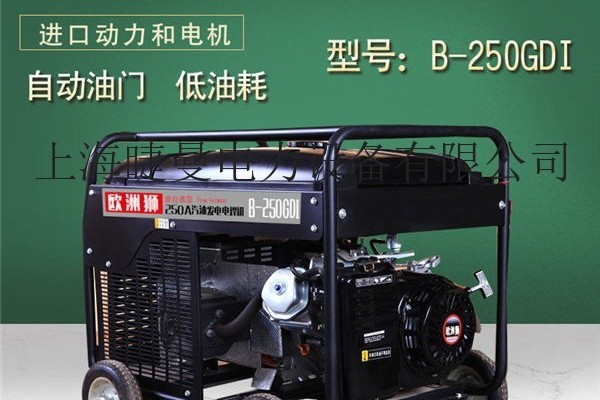 250A汽油发电焊机参数