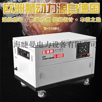 10kw汽油发电机新年大吉
