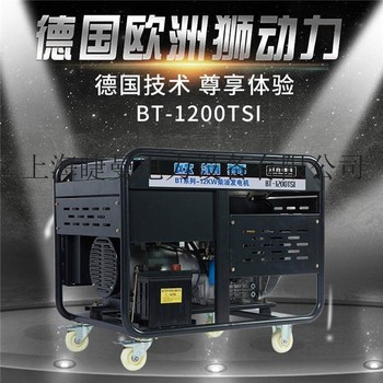 供应中德合资12千瓦柴油发电机